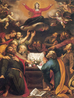 Maria Tenhemelopneming